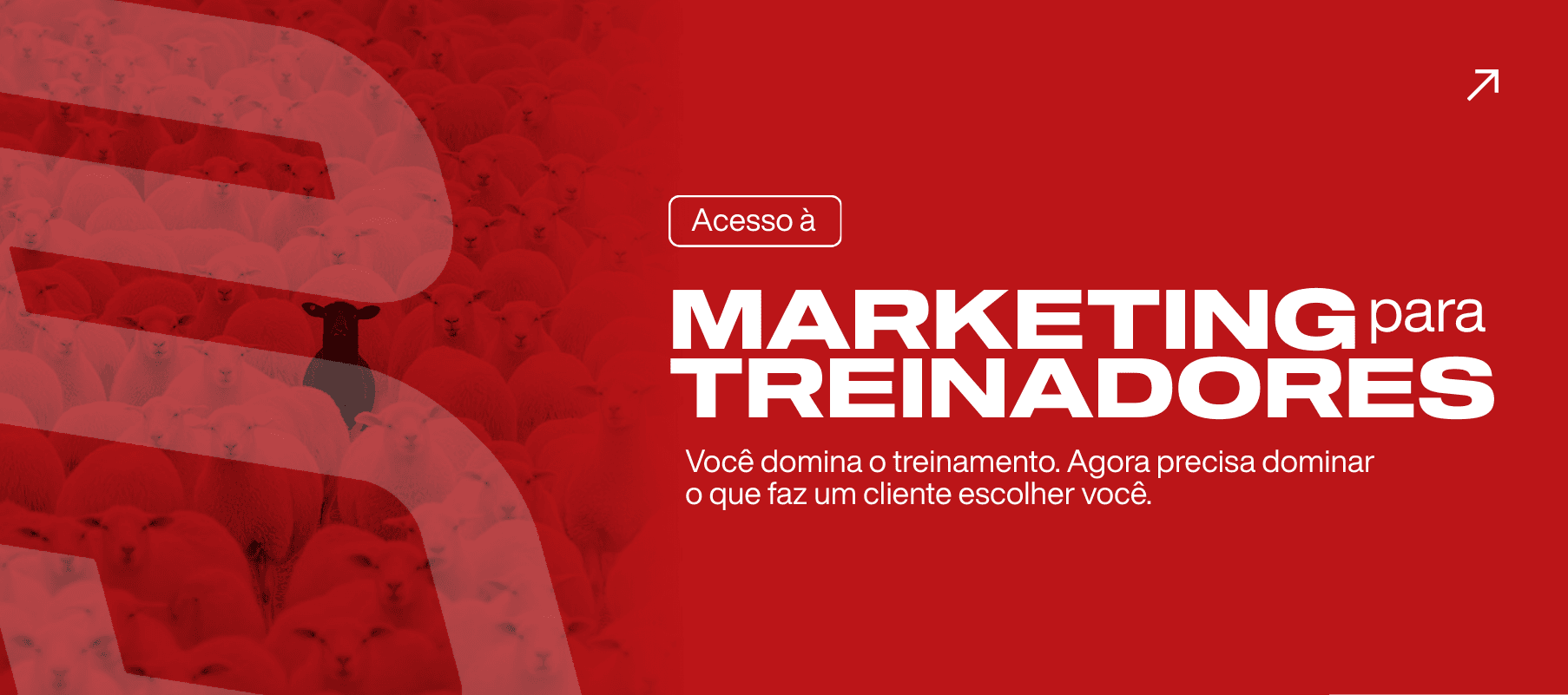 Marketing Darkside